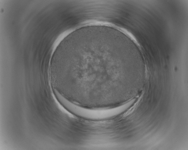 X0000070181247200606021024