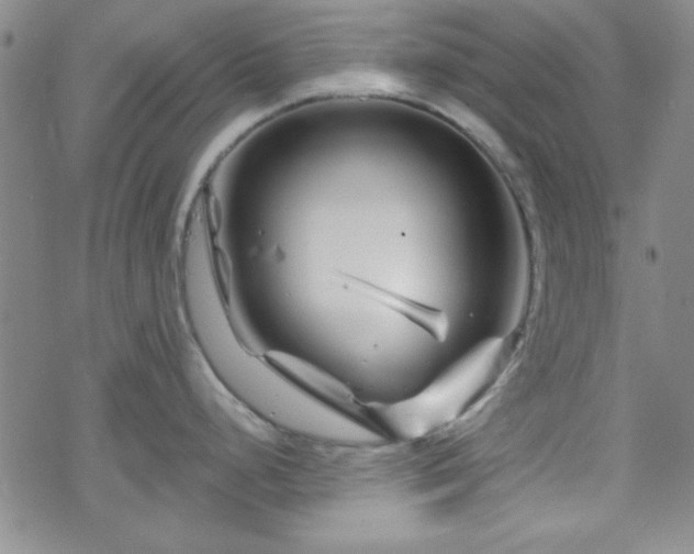 X0000070181248200606021024