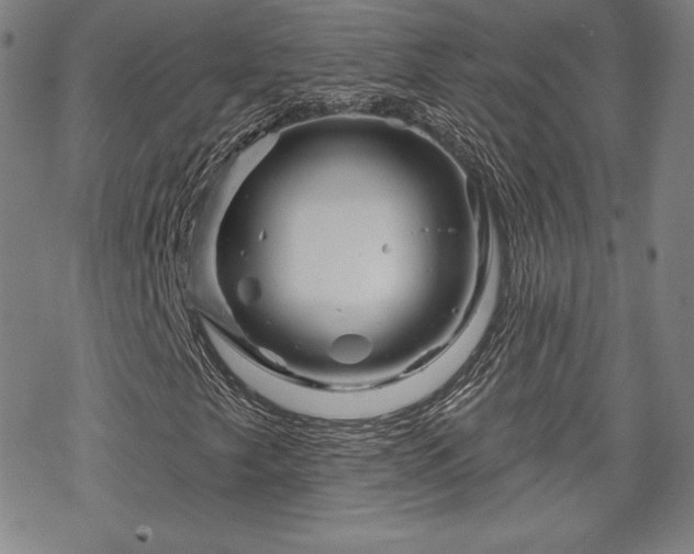 X0000070181249200606021024