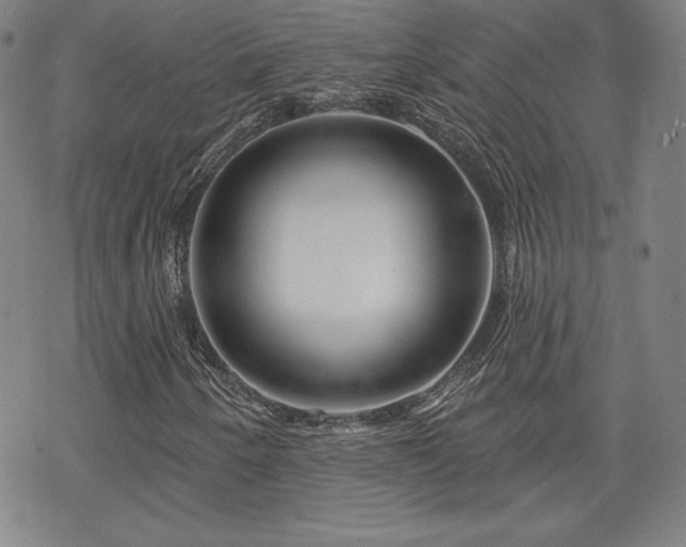 X0000070181250200606021024