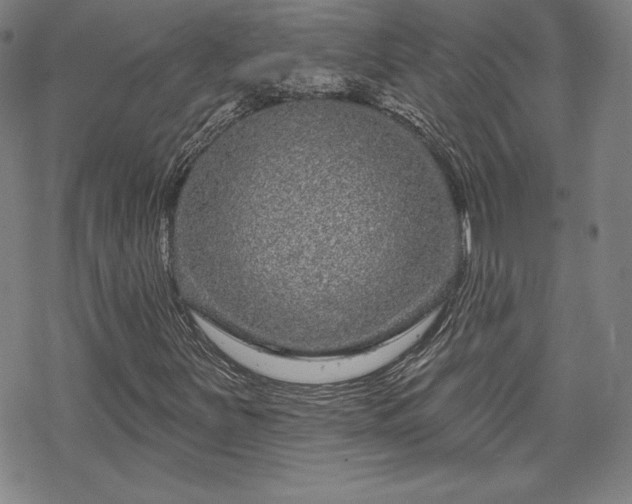 X0000070181251200606021024