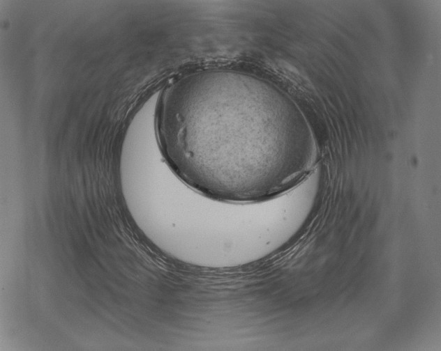 X0000070181252200606021024