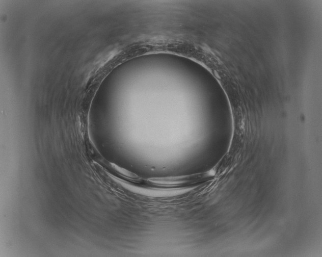 X0000070181253200606021024