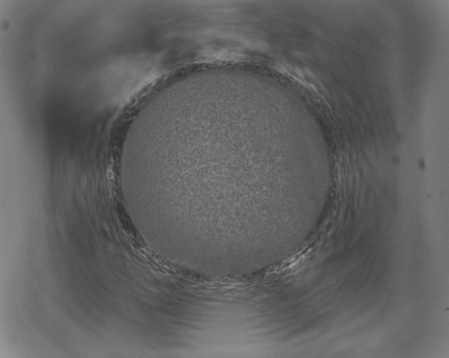 X0000070181254200606021024