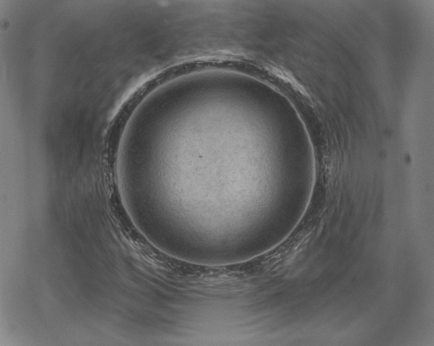 X0000070181256200606021024