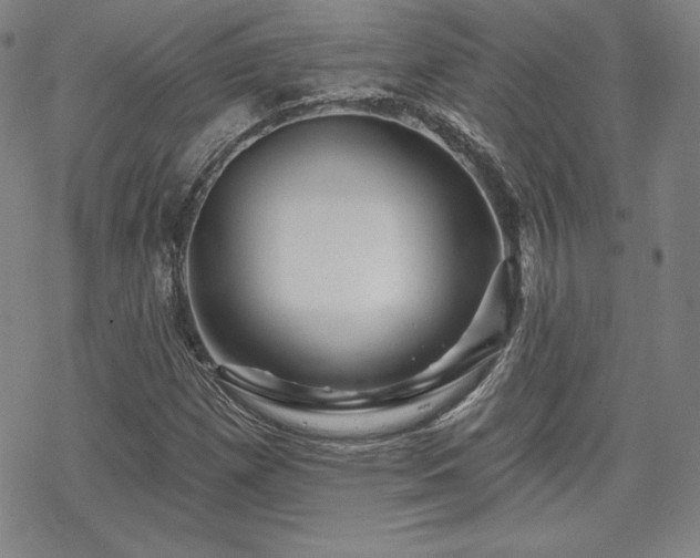 X0000070181257200606021023