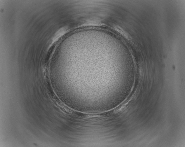 X0000070181258200606021023