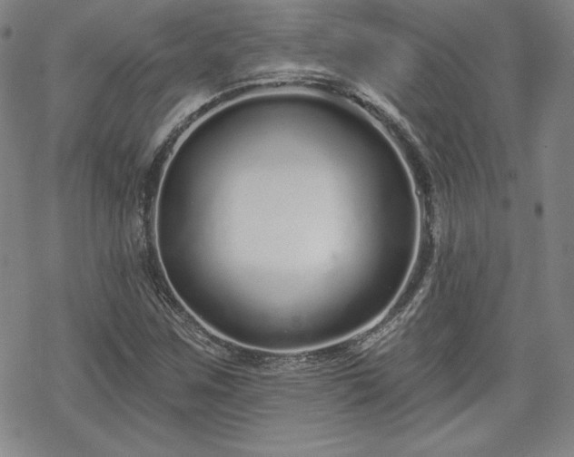 X0000070181259200606021023