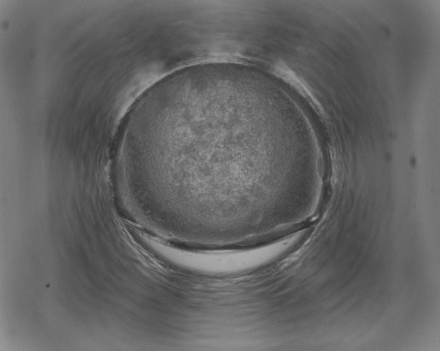 X0000070181260200606021023