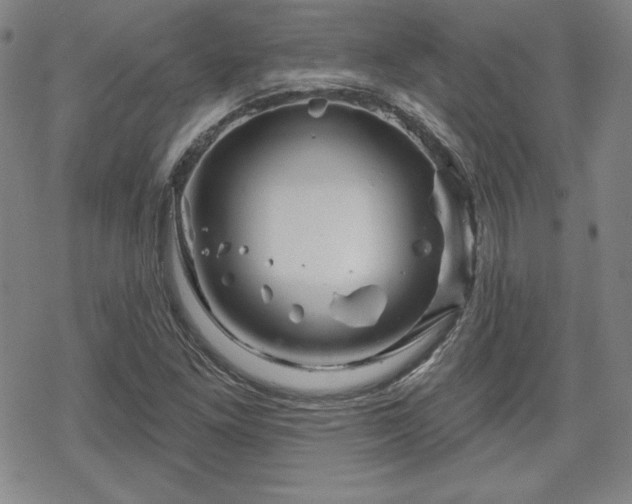 X0000070181261200606021023