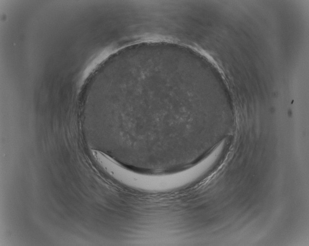 X0000070181263200606021023