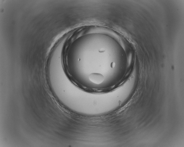 X0000070181264200606021023