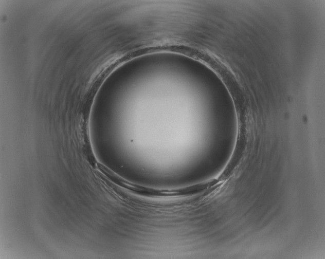 X0000070181265200606021023