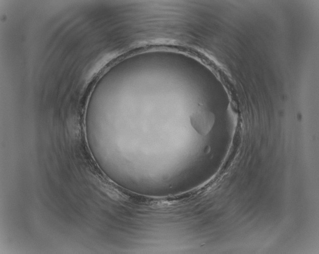 X0000070181266200606021023