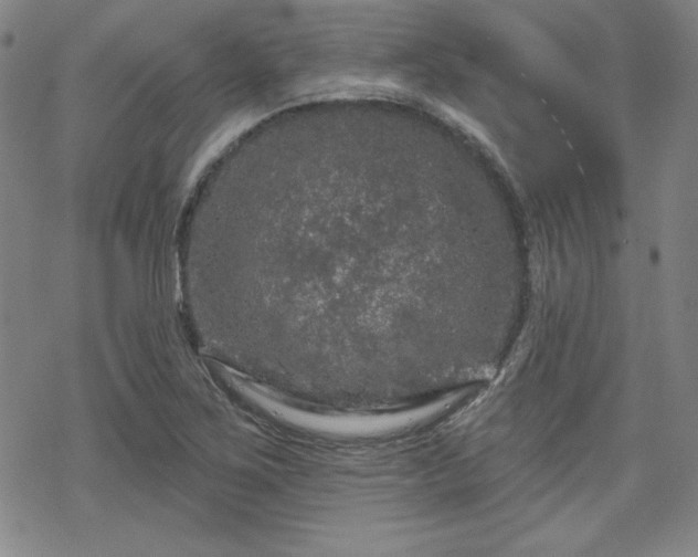 X0000070181267200606021023