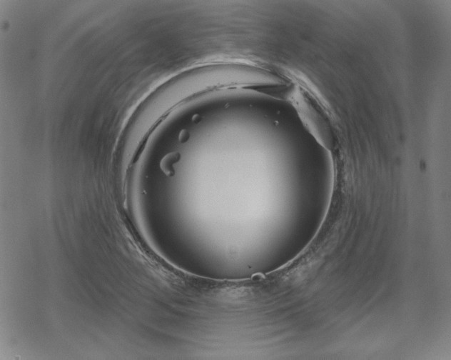 X0000070181268200606021023