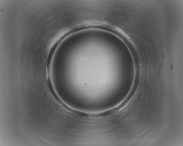 X0000070181269200606021023