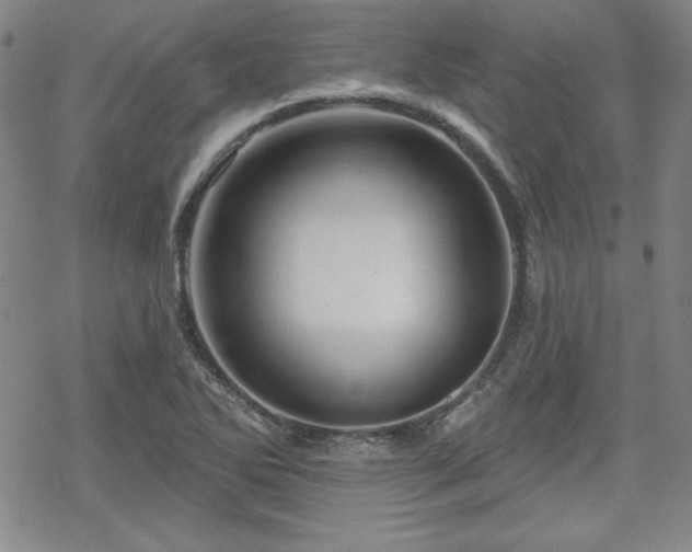 X0000070181270200606021023