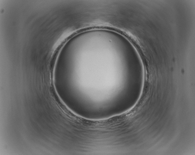 X0000070181271200606021023