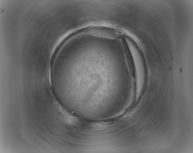 X0000070181272200606021023