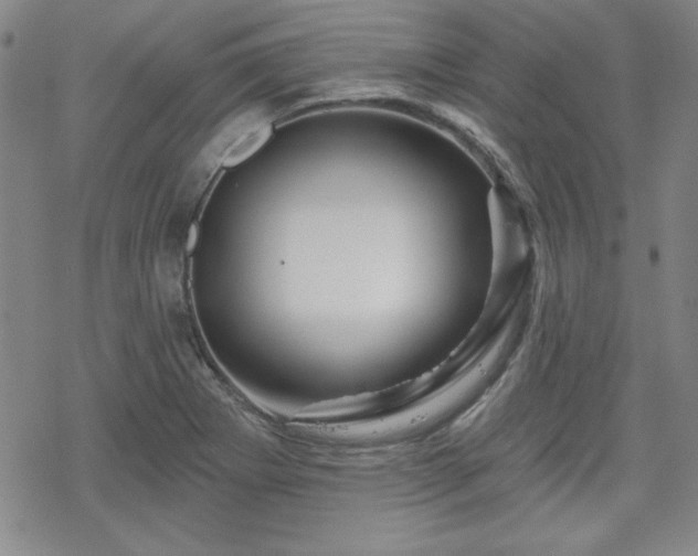 X0000070181273200606021023