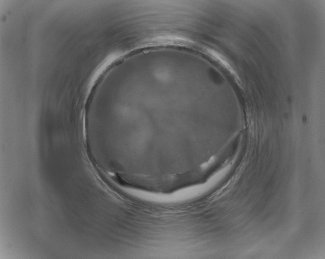 X0000070181275200606021023