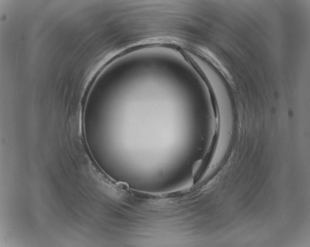 X0000070181276200606021023