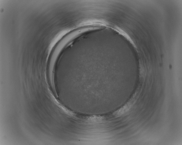 X0000070181277200606021023