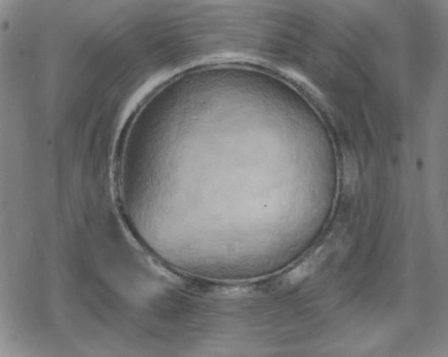 X0000070181278200606021023