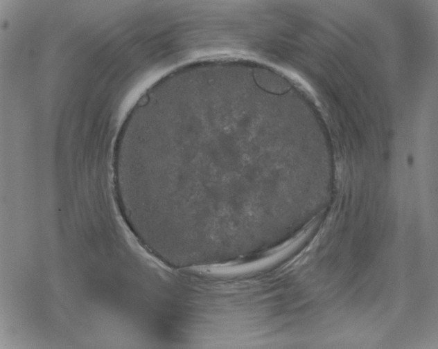 X0000070181279200606021023