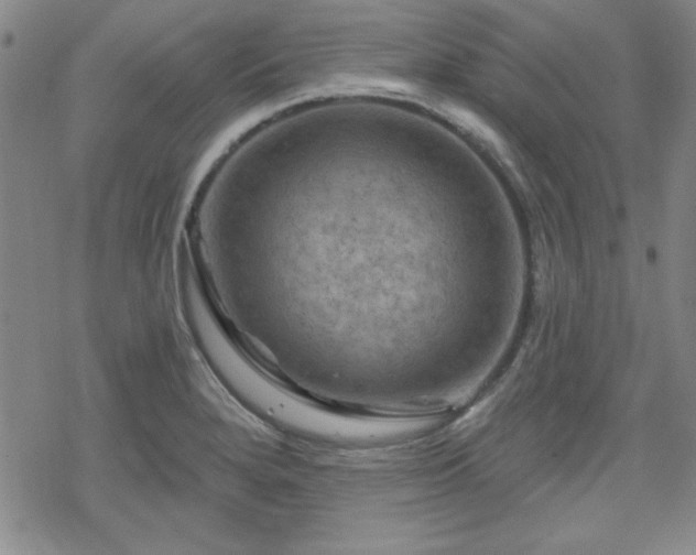 X0000070181280200606021023