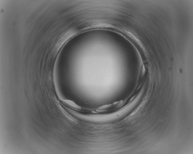 X0000070181281200606021023