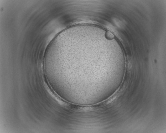 X0000070181282200606021023