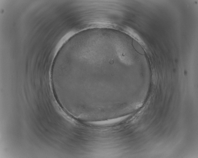 X0000070181283200606021023