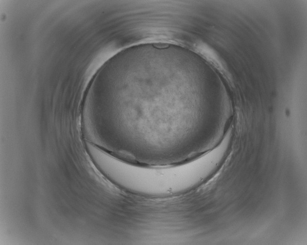 X0000070181284200606021023