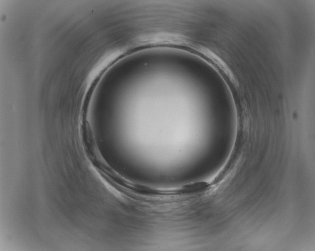 X0000070181285200606021023