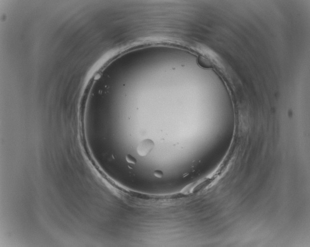 X0000070181286200606021023