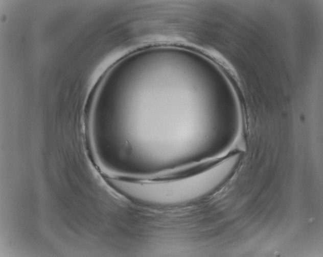 X0000070181287200606021023