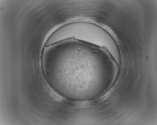 X0000070181288200606021023