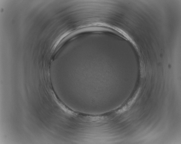 X0000070181289200606021023