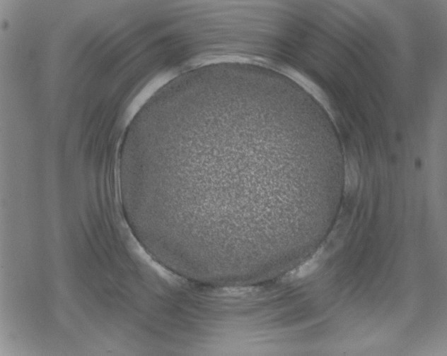 X0000070181290200606021023