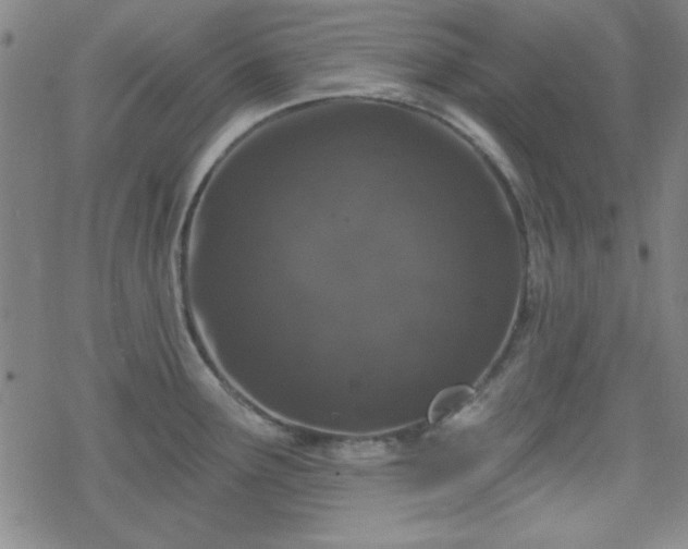 X0000070181291200606021023