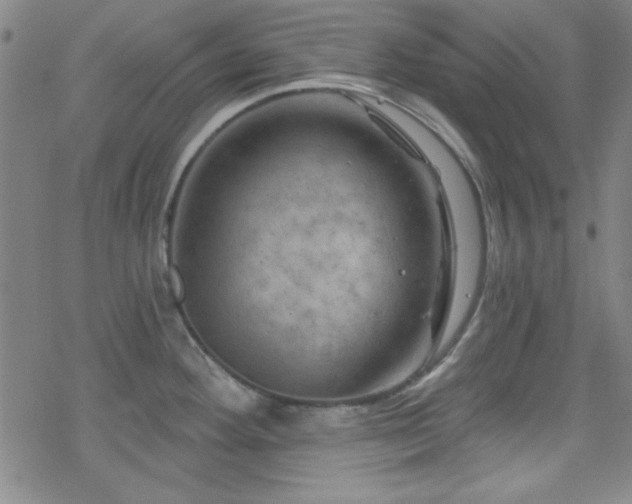 X0000070181292200606021023