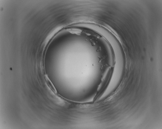 X0000070181293200606021023