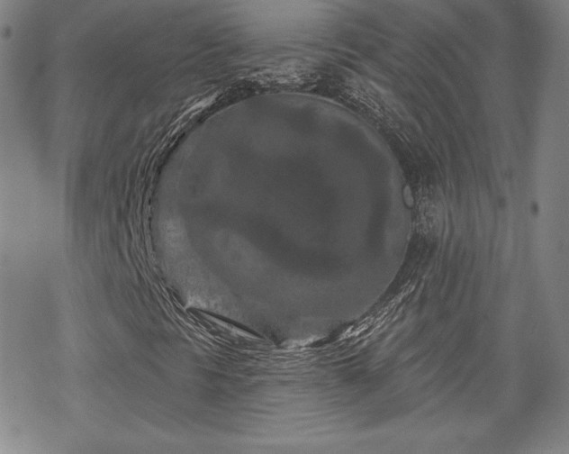 X0000070181297200606021022