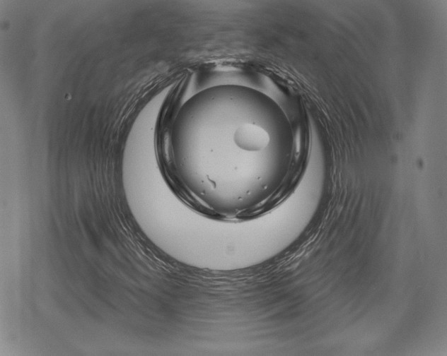 X0000070181300200606021022