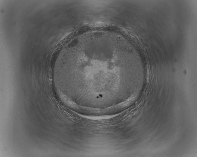 X0000070181301200606021022