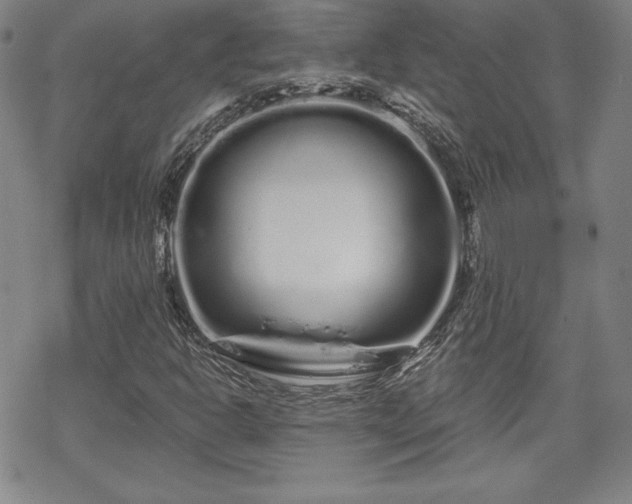 X0000070181302200606021022