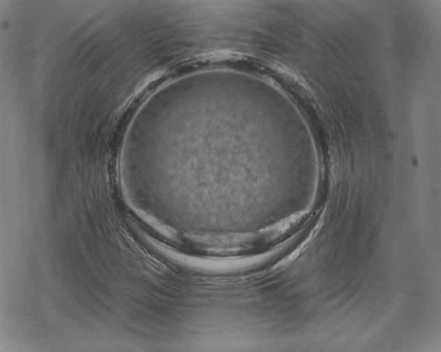 X0000070181305200606021022