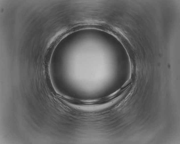 X0000070181307200606021022